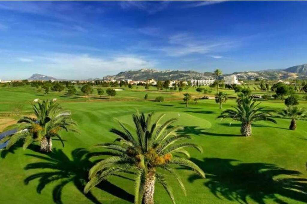 Met&golf Nova * Oliva